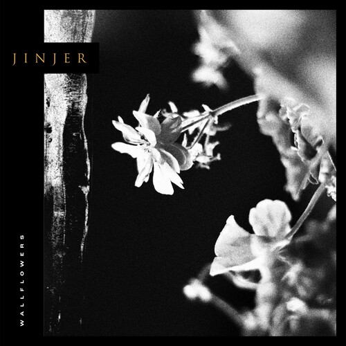 Jinjer - Wallflowers [Indie Exclusive Limited Edition Grey LP]