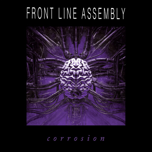 Corrosion - Purple