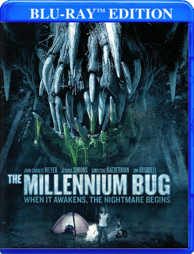 The Millennium Bug