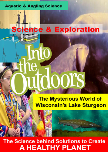 Mysterious World of Wisconsin's Lake Sturgeon - Mysterious World Of Wisconsin's Lake Sturgeon