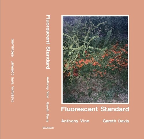 Anthony Vine  / Davis,Gareth - Fluorescent Standard
