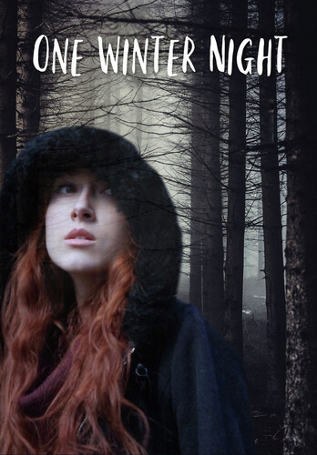 One Winter Night