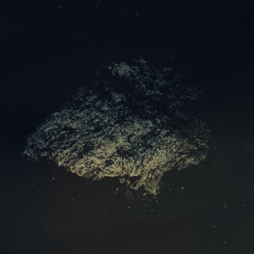 Multicast Dynamics - Lost World [Clear Vinyl] [180 Gram] (Ylw) [Indie Exclusive] [Download Included]