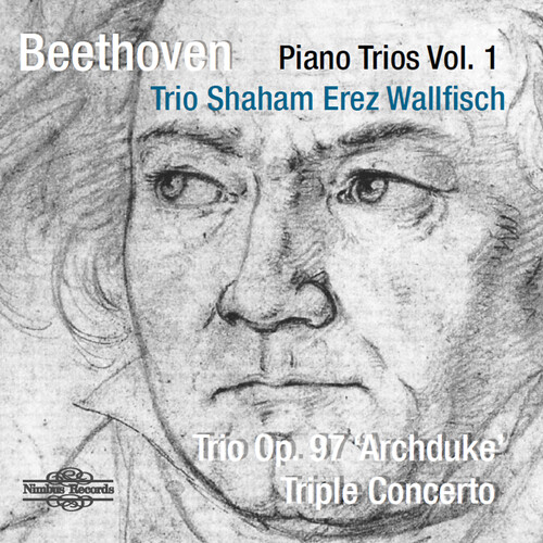 Piano Trio 1