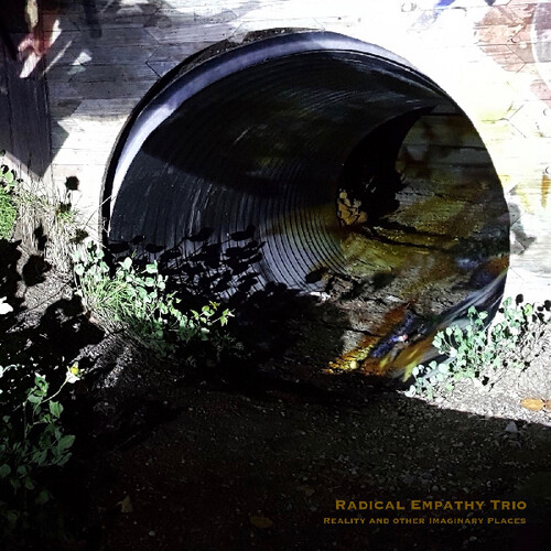 Radical Empathy Trio - Reality and Other Imaginary Places vinyl record cover