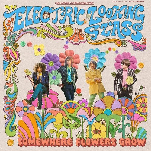 Electric Looking Glass - Somewhere Flowers Grow vinyl record cover