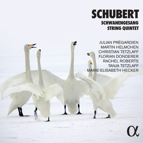Schubert - Works (2pk)