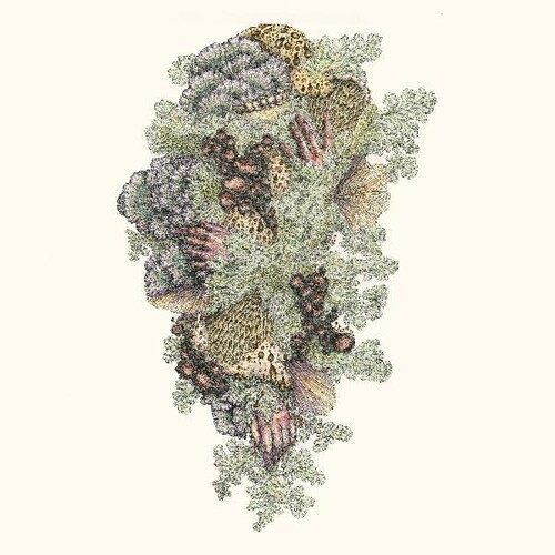Pyrithe - Monuments To Impermanence [Digipak]