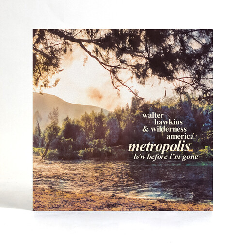 Metropolis