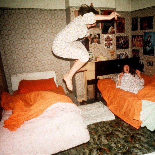 I Became Birds - Orange