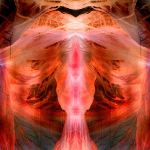 Annihilating Angel Or Surface Of The World