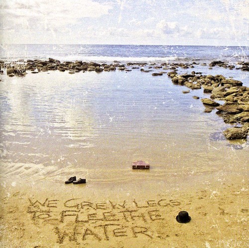 WE GREW LEGS TO FLEE THE WATER