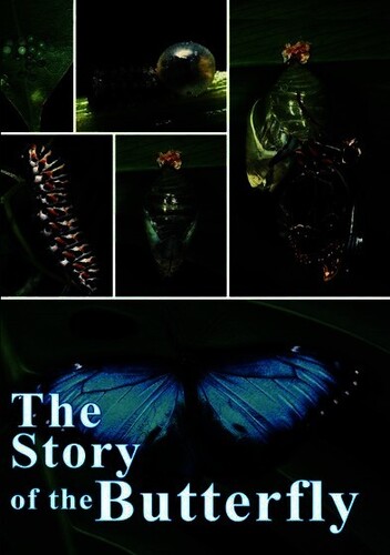 The Story of the Butterfly