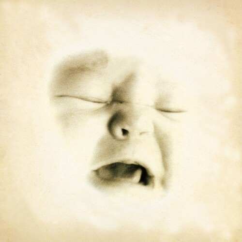 Welcome To The Infant Freebase