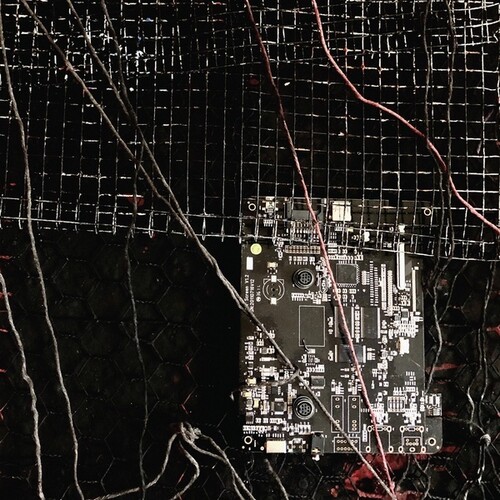 Merzbow / Prurient - Black Crows Cyborg vinyl record cover