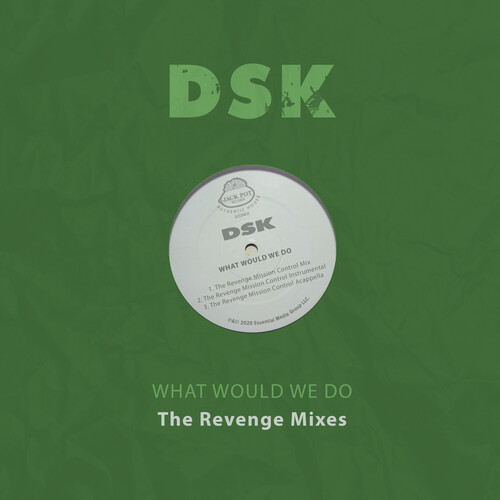 What Would We Do - The Revenge Mixes