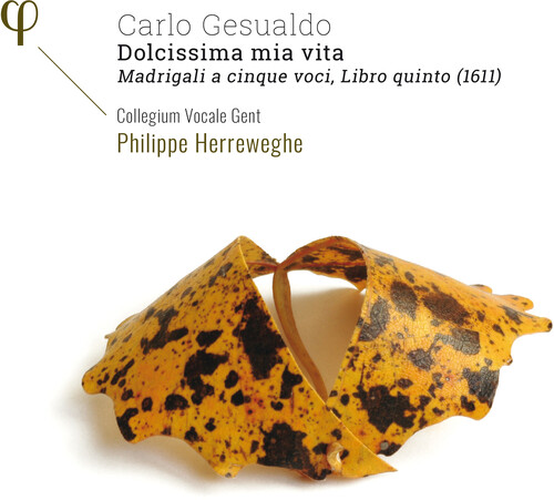 Gesualdo / Collegium Vocale Gent / Herreweghe - Dolcissima Mia Vita