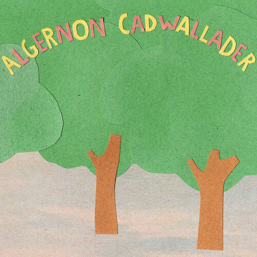 Algernon Cadwallader - Some Kind of Cadwallader vinyl record cover