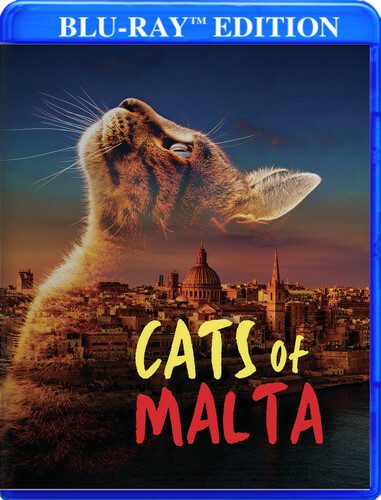 Cats Of Malta
