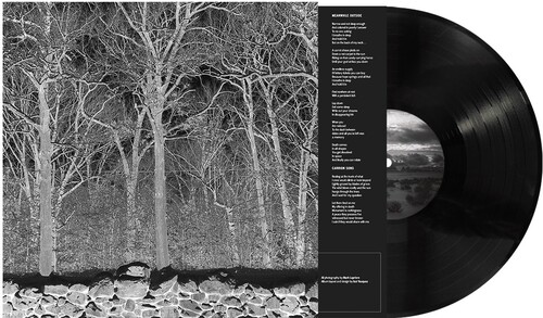 Pile - Sunshine & Balance Beams