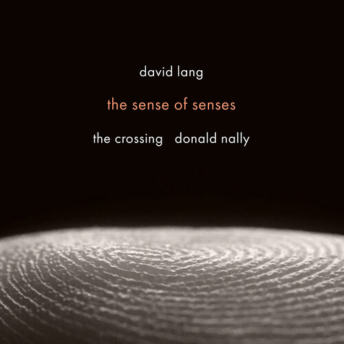 David Lang: the sense of senses