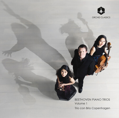 Beethoven 1