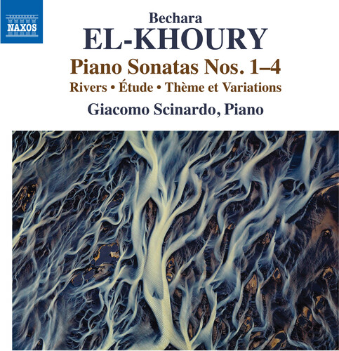 Piano Sonatas 1-4