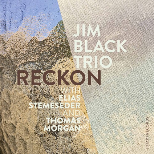 Jim Black /Alasnoaxis - Reckon