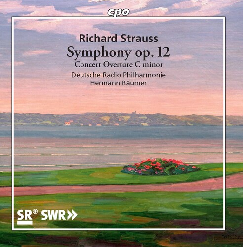 Symphony 12