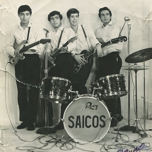 Los Saicos - Demolicion vinyl record cover