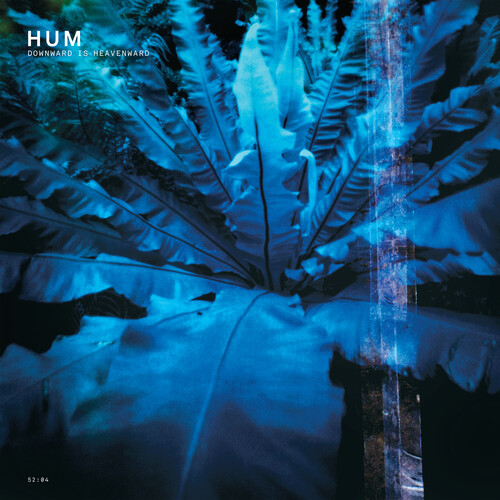 Hum - Downward Is Heavenward [Reissue]