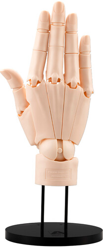 ARTIST SUPPORT ITEM HAND MODEL/ R (PALE ORANGE)