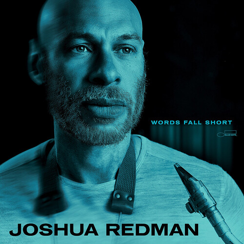 Words Fall Short - SHM [Import]