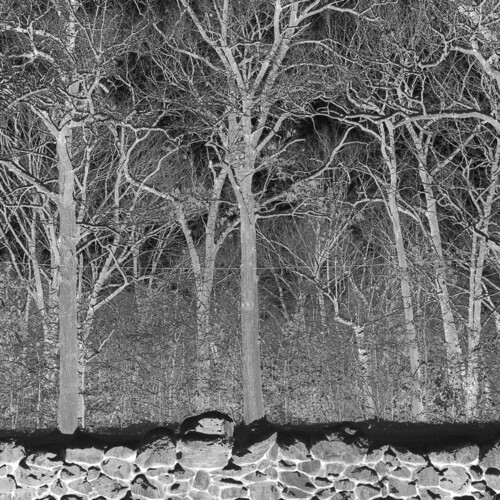 Pile - Sunshine & Balance Beams