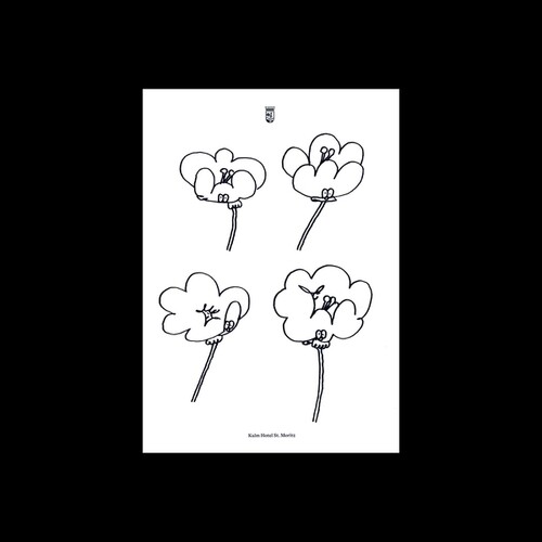 Poppies