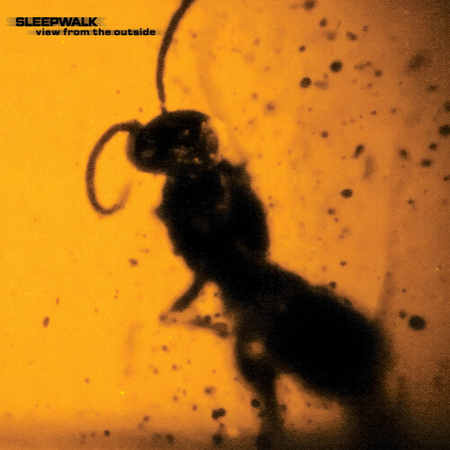 Sleepwalk - View From The Outside vinyl record cover