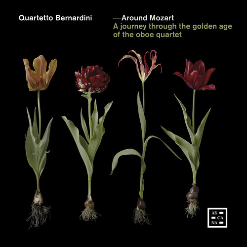 Around Mozart