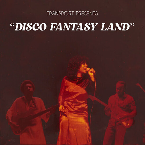 Disco Fantasy Land