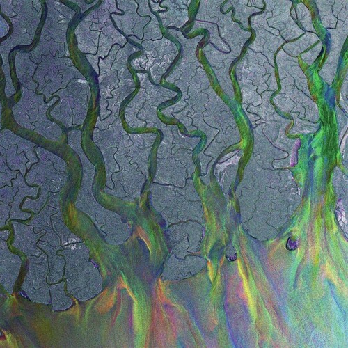 Awesome Wave [Import]