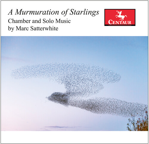 A Murmuration of Starlings