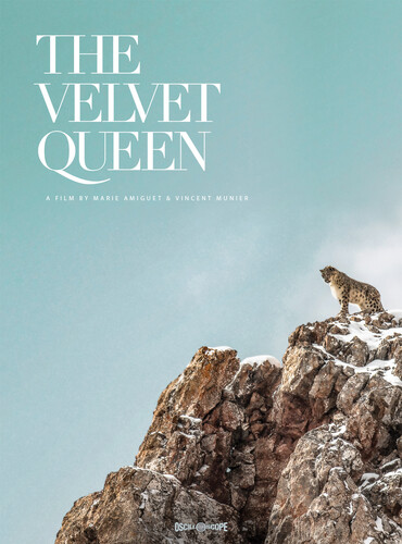 The Velvet Queen