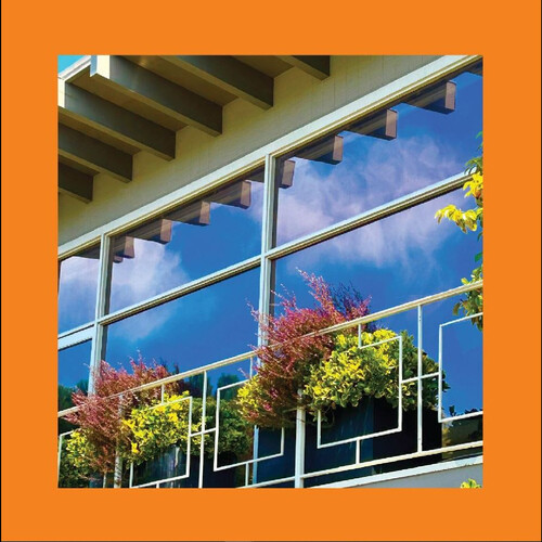 Pinks Reds  & Purples - Still Clouds At Noon [Colored Vinyl] (Wht) [Indie Exclusive]