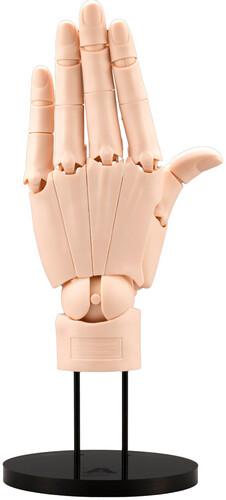 ARTIST SUPPORT ITEM HAND MODEL/ L (PALE ORANGE)