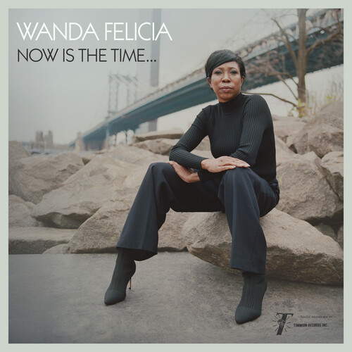 Wanda Felicia / Cold Diamond & Mink - Now Is The Time vinyl record cover