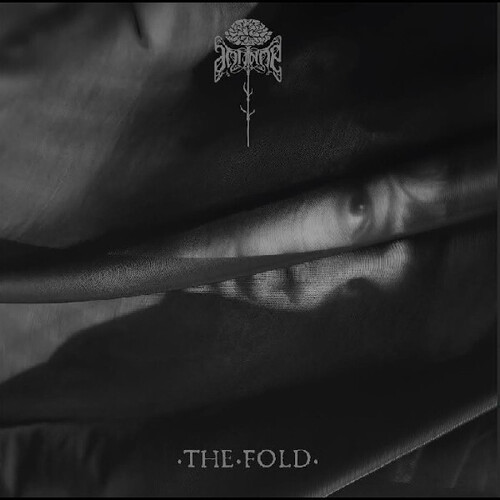 The Fold