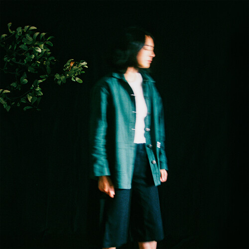 Mini Trees - Slow It Down