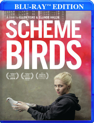 Scheme Birds