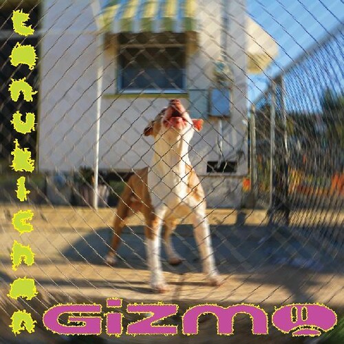 Tanukichan - Gizmo [LP]