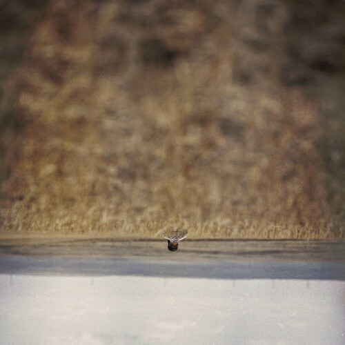 Hands That Bind (Original Soundtrack)