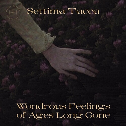 Settima Tacca - Wondrous Feelings Of Ages Long Gone